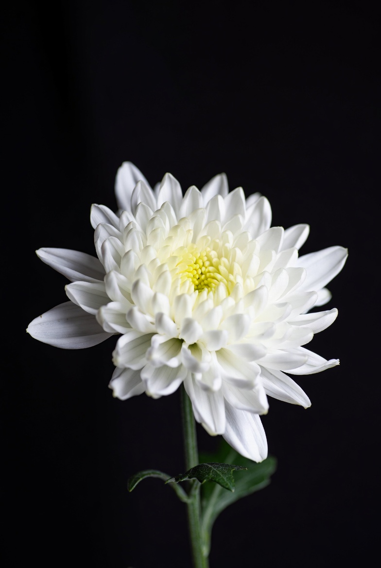 유품정리 서비스 이미지